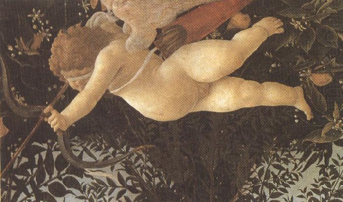 Sandro Botticelli primavera (mk36)